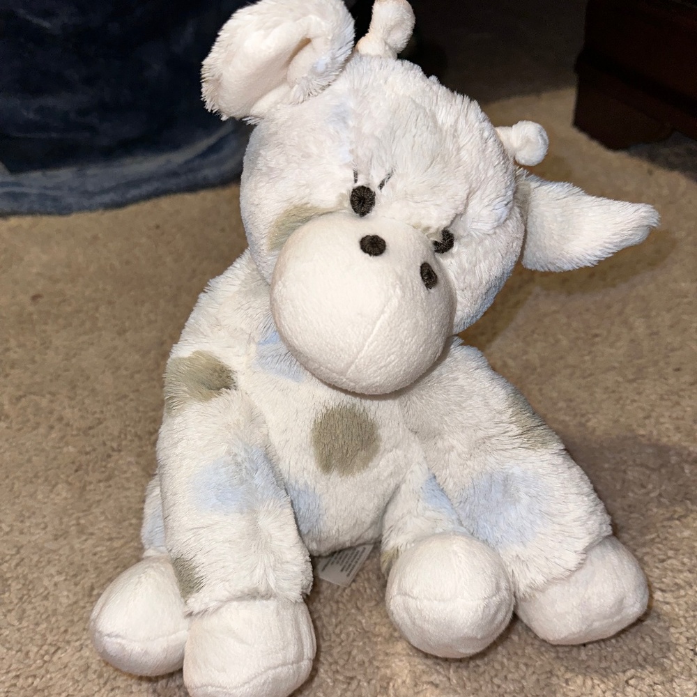 Little giraffe